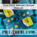 Gros Pénis Stimulant Sexuel Masculin cialis5